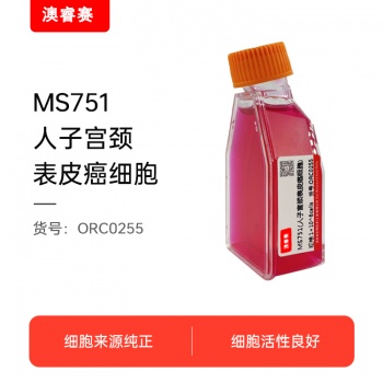 MS751（人子宫颈表皮癌细胞）