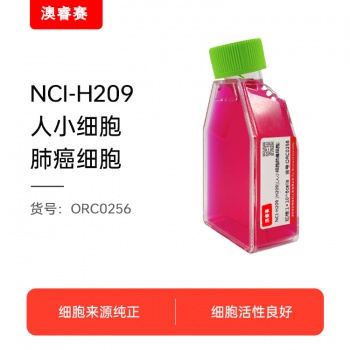 NCI-H209 [H209]（人小细胞肺癌细胞）