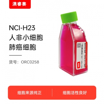 NCI-H23（人非小细胞肺癌细胞）