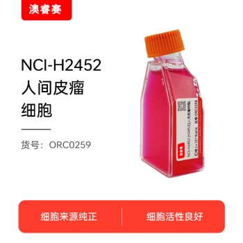 NCI-H2452 [H2452]（人间皮瘤细胞）