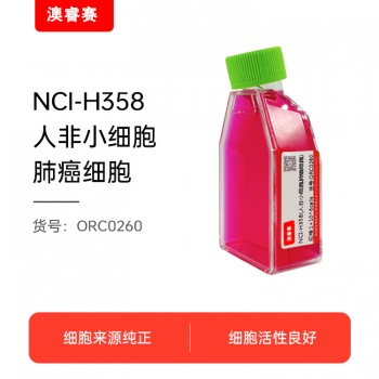 NCI-H358（人非小细胞肺癌细胞）
