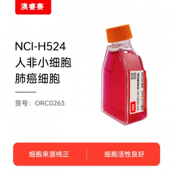 NCI-H524（人非小细胞肺癌细胞）