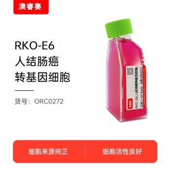 RKO-E6（人结肠癌转基因细胞）