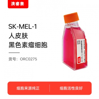 SK-MEL-1（人皮肤黑色素瘤细胞）