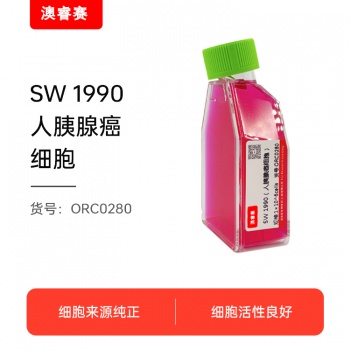 SW 1990（人胰腺癌细胞）