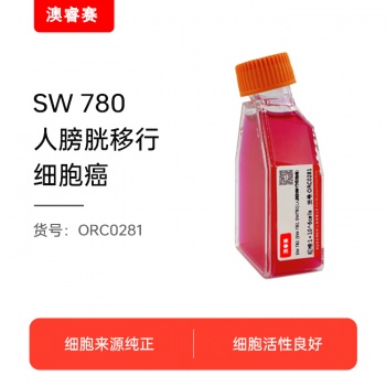SW 780 [SW-780, SW780]（人膀胱移行细胞癌）