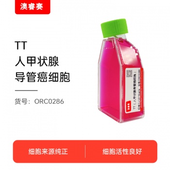 TT（人甲状腺导管癌细胞）