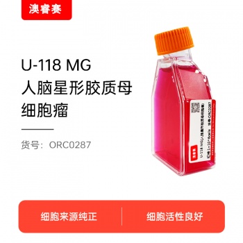 U-118 MG（人脑星形胶质母细胞瘤）