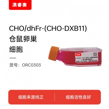 CHO/dhFr- [CHO-DXB11]（仓鼠卵巢细胞（二氢叶酸还原酶缺陷））