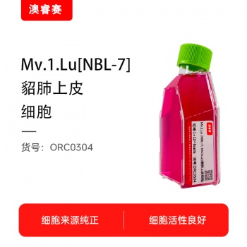 Mv.1.Lu [NBL-7; Mv1Lu]（貂肺上皮细胞）