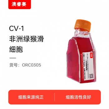 CV-1（非洲绿猴肾细胞）
