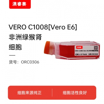 VERO C1008 [Vero E6]（非洲绿猴肾细胞）