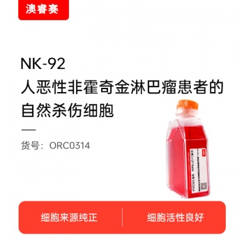 NK-92（人恶性非霍奇金淋巴瘤患者的自然杀伤细胞）