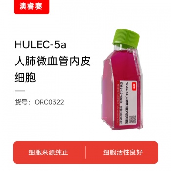 HULEC-5a（人肺微血管内皮细胞）