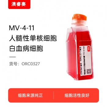 MV-4-11（人髓性单核细胞白血病细胞）
