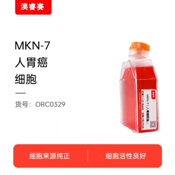 MKN-7（人胃癌细胞）