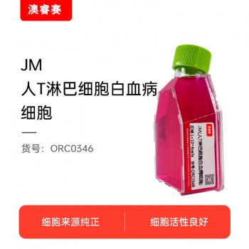 JM（人T淋巴细胞白血病细胞）