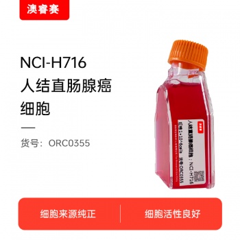 NCI-H716（人结直肠腺癌细胞）