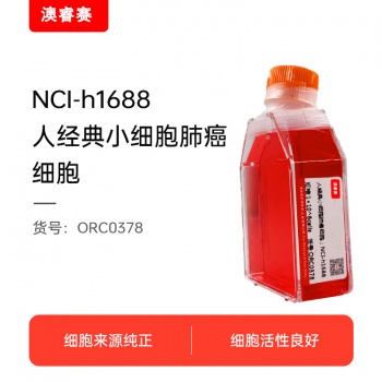 NCI-h1688（人经典小细胞肺癌细胞）