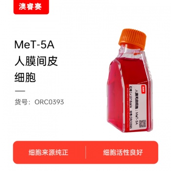 MET-5A（人膜间皮细胞）