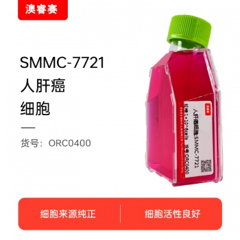 SMMC-7721（人肝癌细胞）