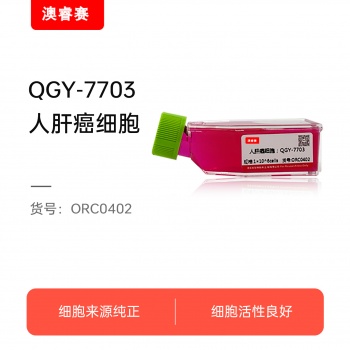 QGY-7703（人肝癌细胞）