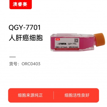 QGY-7701（人肝癌细胞）