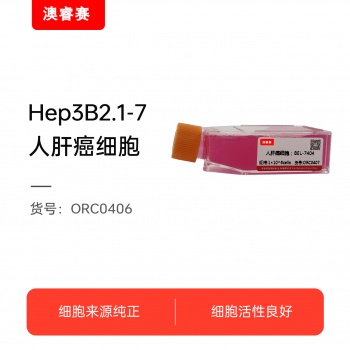 BEL-7404（人肝癌细胞）