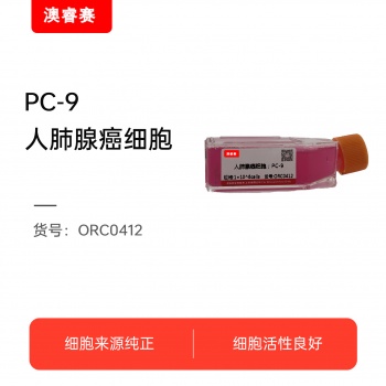 PC-9（人肺腺癌细胞）