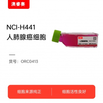 NCI-H441（人肺腺癌细胞）