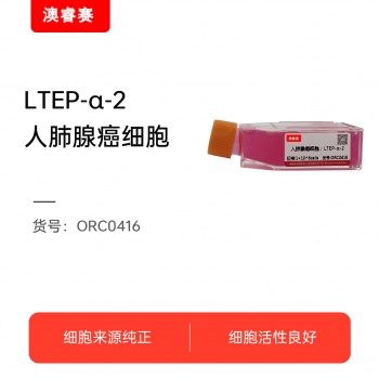 LTEP-α-2（人肺腺癌细胞）