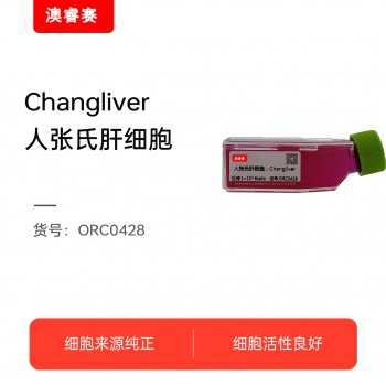 Changliver（人张氏肝细胞）