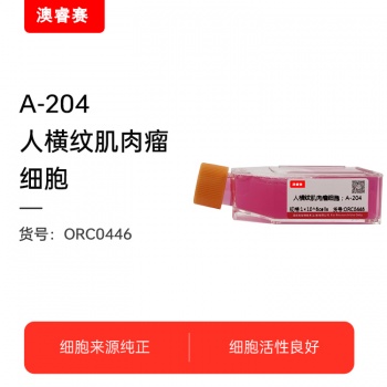 A-204（人横纹肌肉瘤细胞）