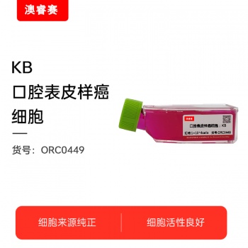 KB（口腔表皮样癌细胞）