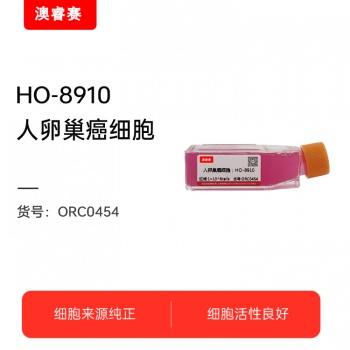 HO-8910（人卵巢癌细胞）