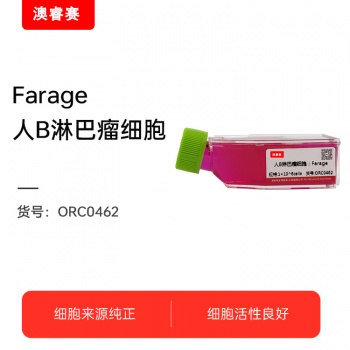 Farage（人B淋巴瘤细胞）
