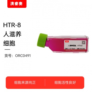 HTR-8（人滋养细胞）