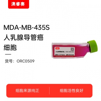 MDA-MB-435S（人乳腺导管癌细胞）