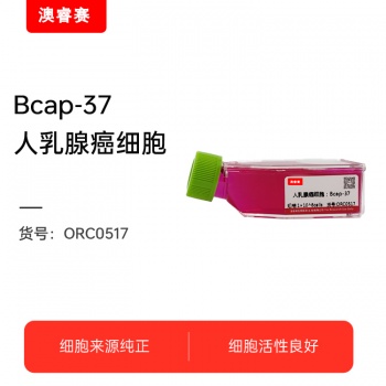 Bcap-37（人乳腺癌细胞）