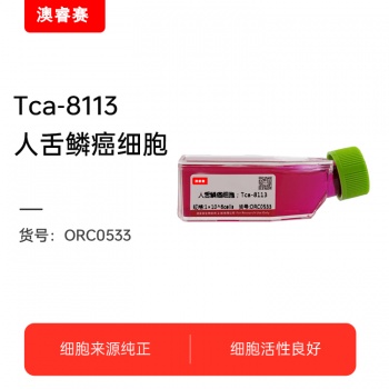 Tca-8113（人舌鳞癌细胞）