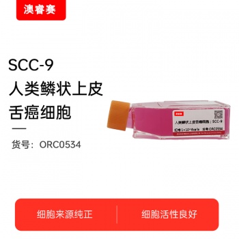 SCC-9（人类鳞状上皮舌癌细胞）