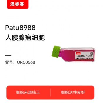 Patu8988（人胰腺癌细胞）