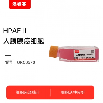 HPAF-II（人胰腺癌细胞）
