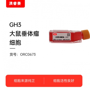 GH3（大鼠垂体瘤细胞）