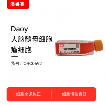 Daoy（人脑髓母细胞瘤细胞）
