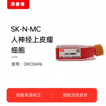 SK-N-MC（人神经上皮瘤细胞）