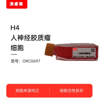 H4（人神经胶质瘤细胞）