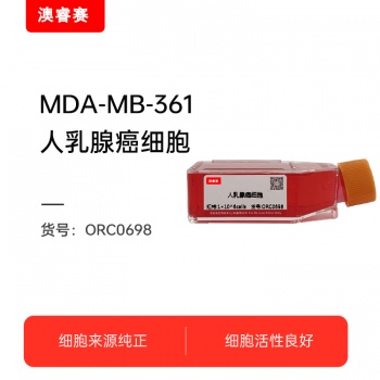 MDA-MB-361（人乳腺癌细胞）