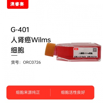 G-401（人肾癌Wilms细胞）