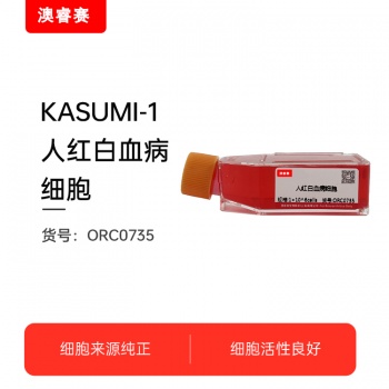 KASUMI-1（人红白血病细胞）